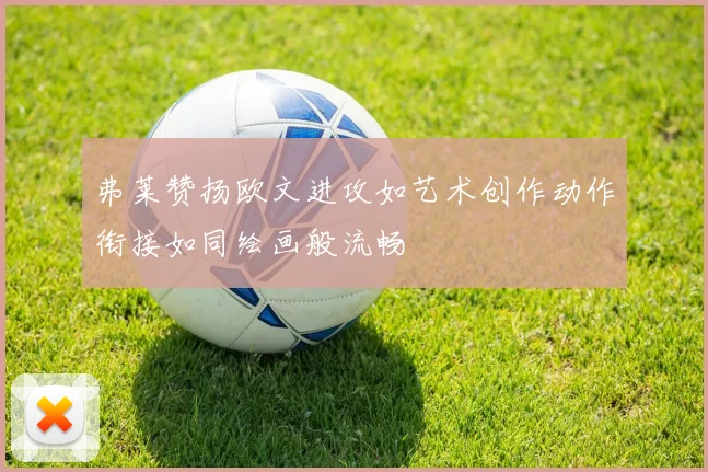 弗莱赞扬欧文进攻如艺术创作动作衔接如同绘画般流畅