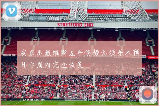 安东尼戴维斯左手伤势无须手术预计六周内完全恢复